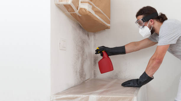 Professional Attic Mold Removal technician working in Mears, MI