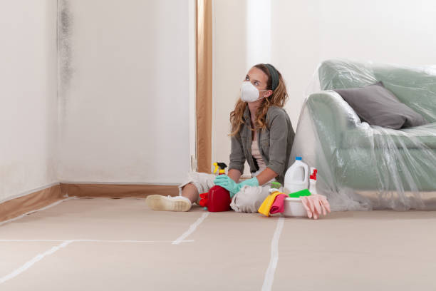 Reliable Attic Mold Removal contractor in Mears, MI by WQB Mold Removal